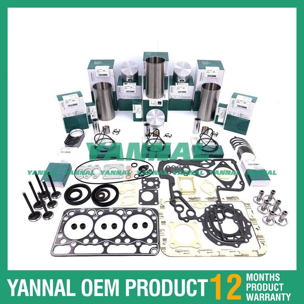 new D950 engine overhaul kit for Kubota B1600, B8200, B20, and B1702 engines.