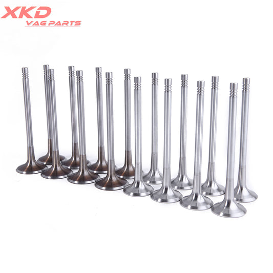 1.8T 2.0T 16 Intake and exhaust valves are suitable for Volkswagen for Golf , for Audi A3, A6, A5. (CJEB CNCD CNCE-)