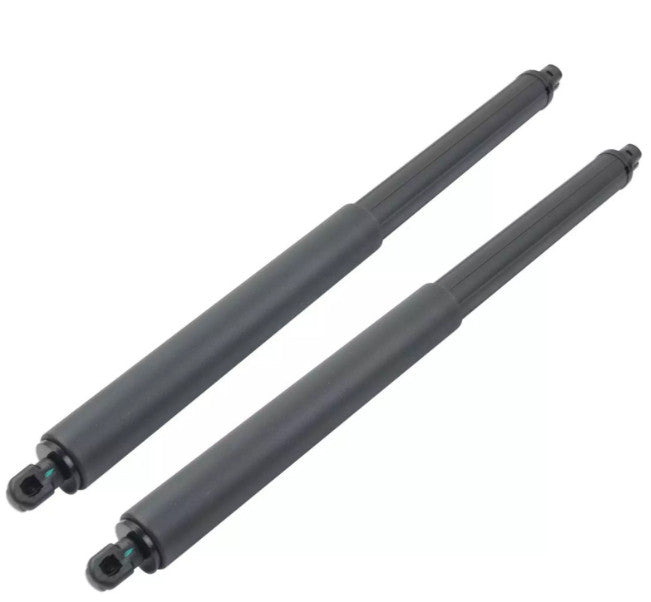 2PCS Tailgate Lift Supports Shock Struts 51247294199 for BMW E70 X5 2007-2013