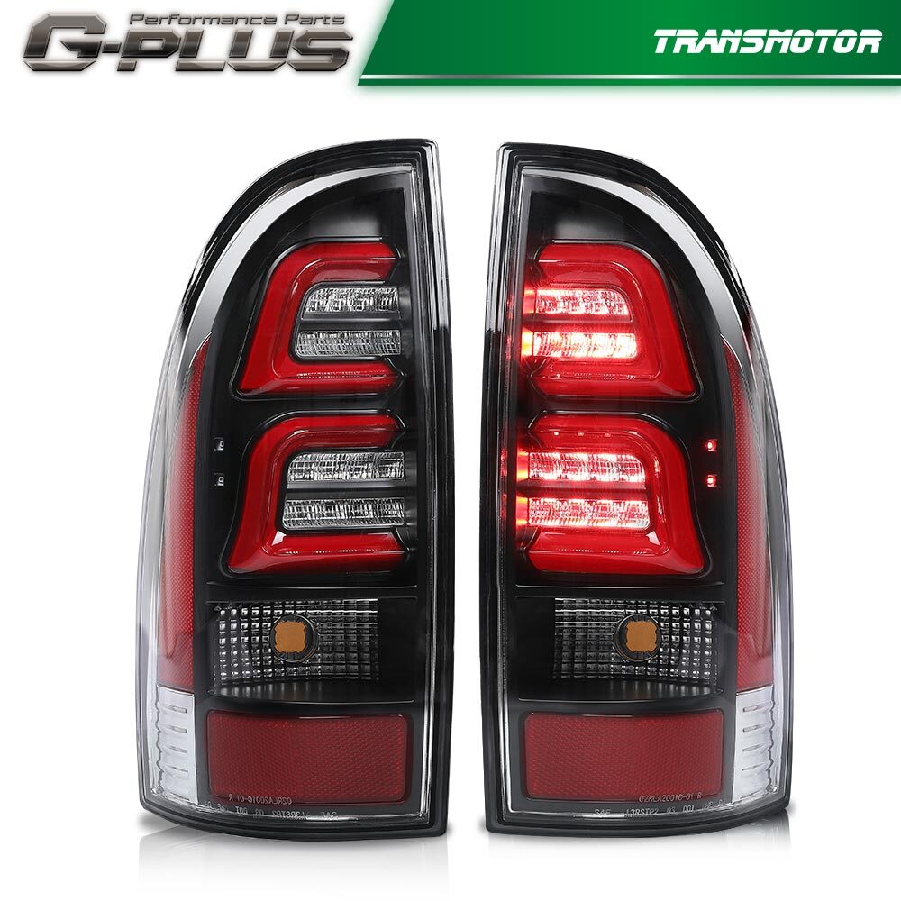 2005-2015 Paddy Field LED Lighting + Mouth