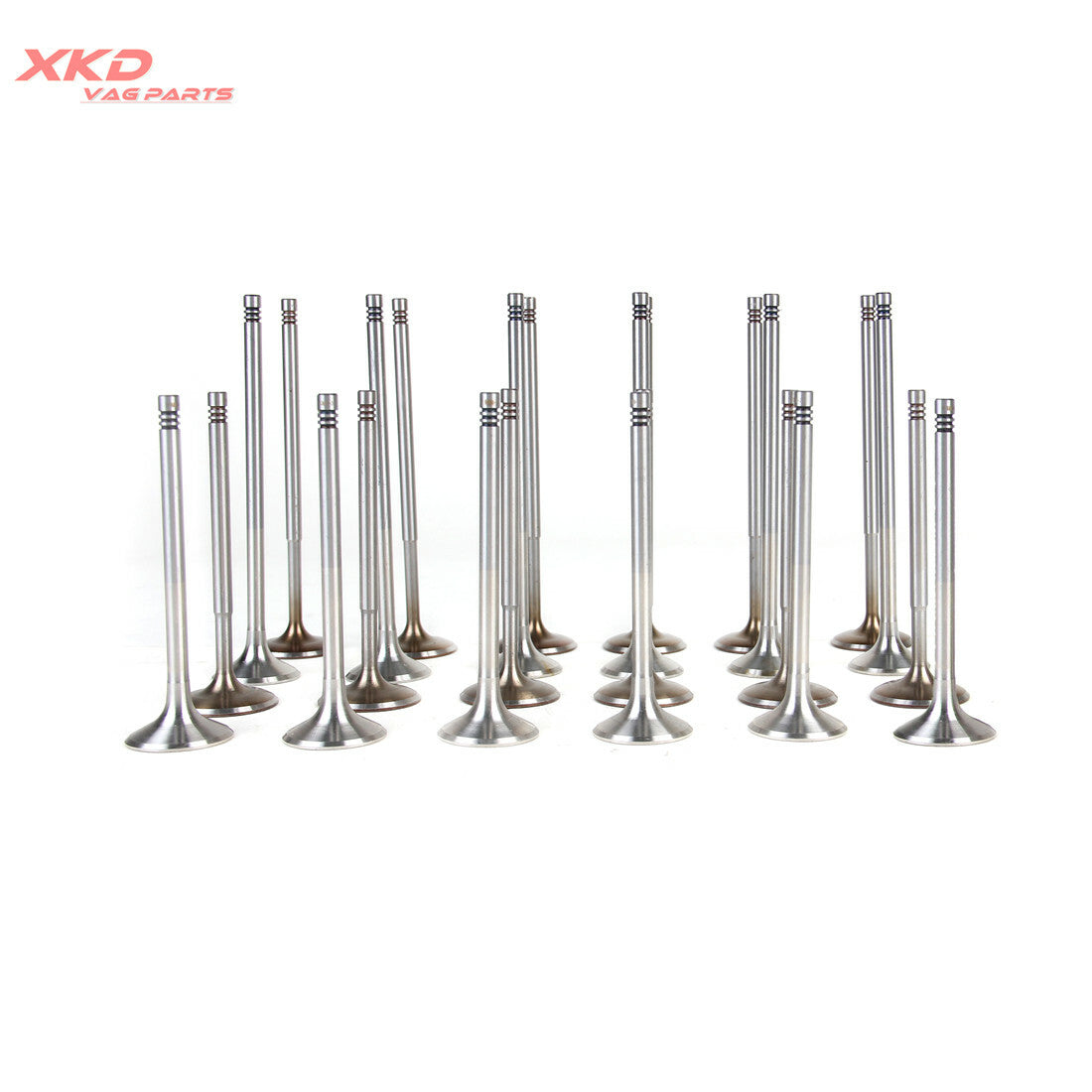 3.2L Intake Exhaust Valves Fit for VW EOS for Passat for Audi A3 for A8 BLV CBRA CDV