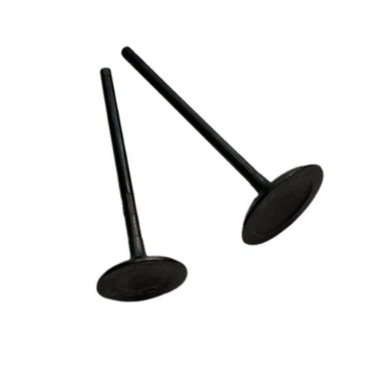 Intake and exhaust valves are suitable for Ford for Lincoln 3.5L and 3.7L DOHC 24V engines. (07-17-)