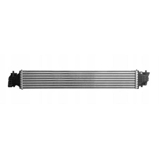 Intercooling Water Tank for Honda 19710-6N0-006 197106N0006