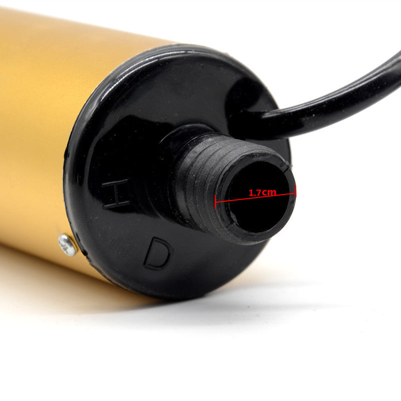 Portable Button Filter Tool Car Submersible Diesel Fuel Transfer Water Oil Pump