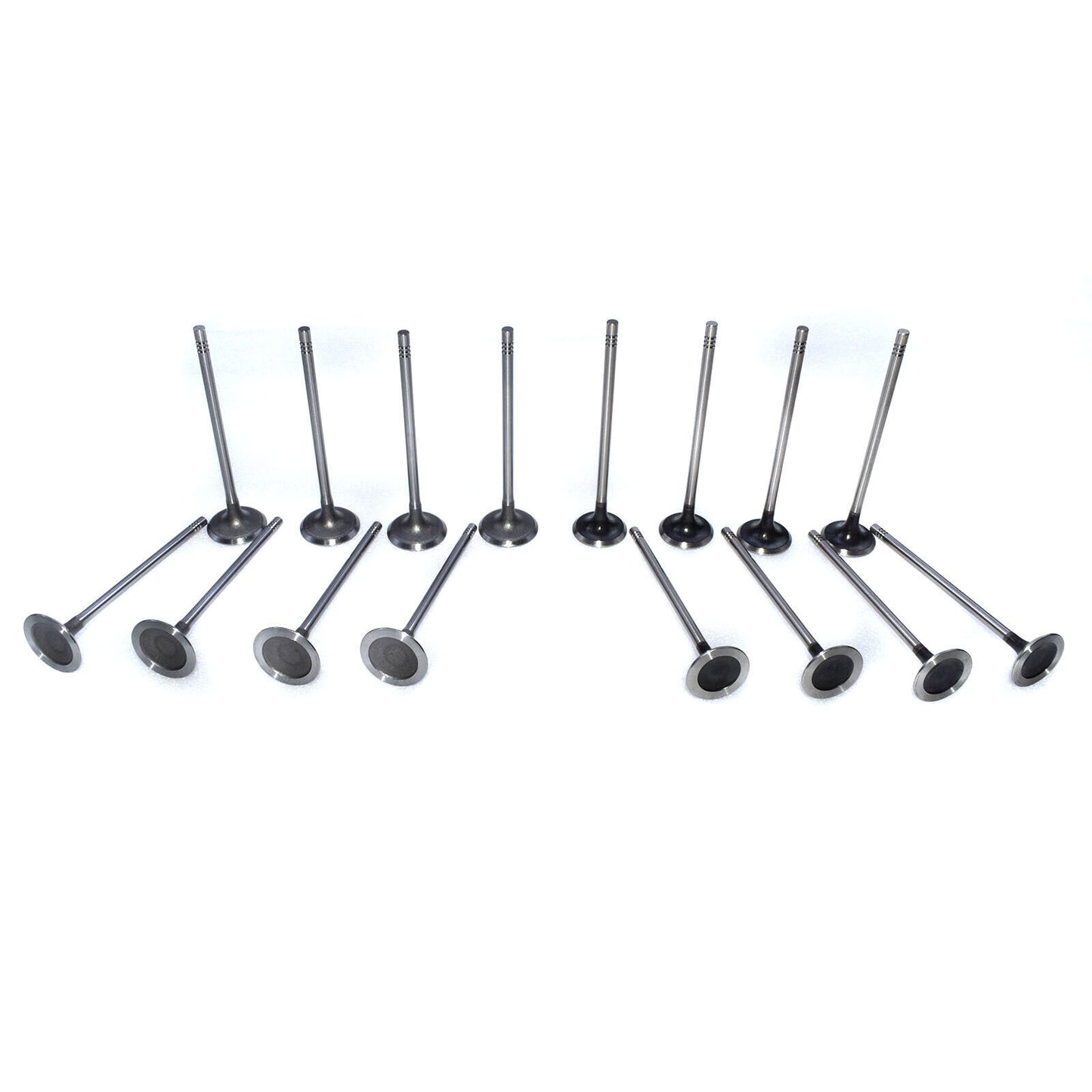 for Mini Cooper S R56 N14 1.6L 2007-2010 8x Intake Valves + 8x Exhaust Valves
