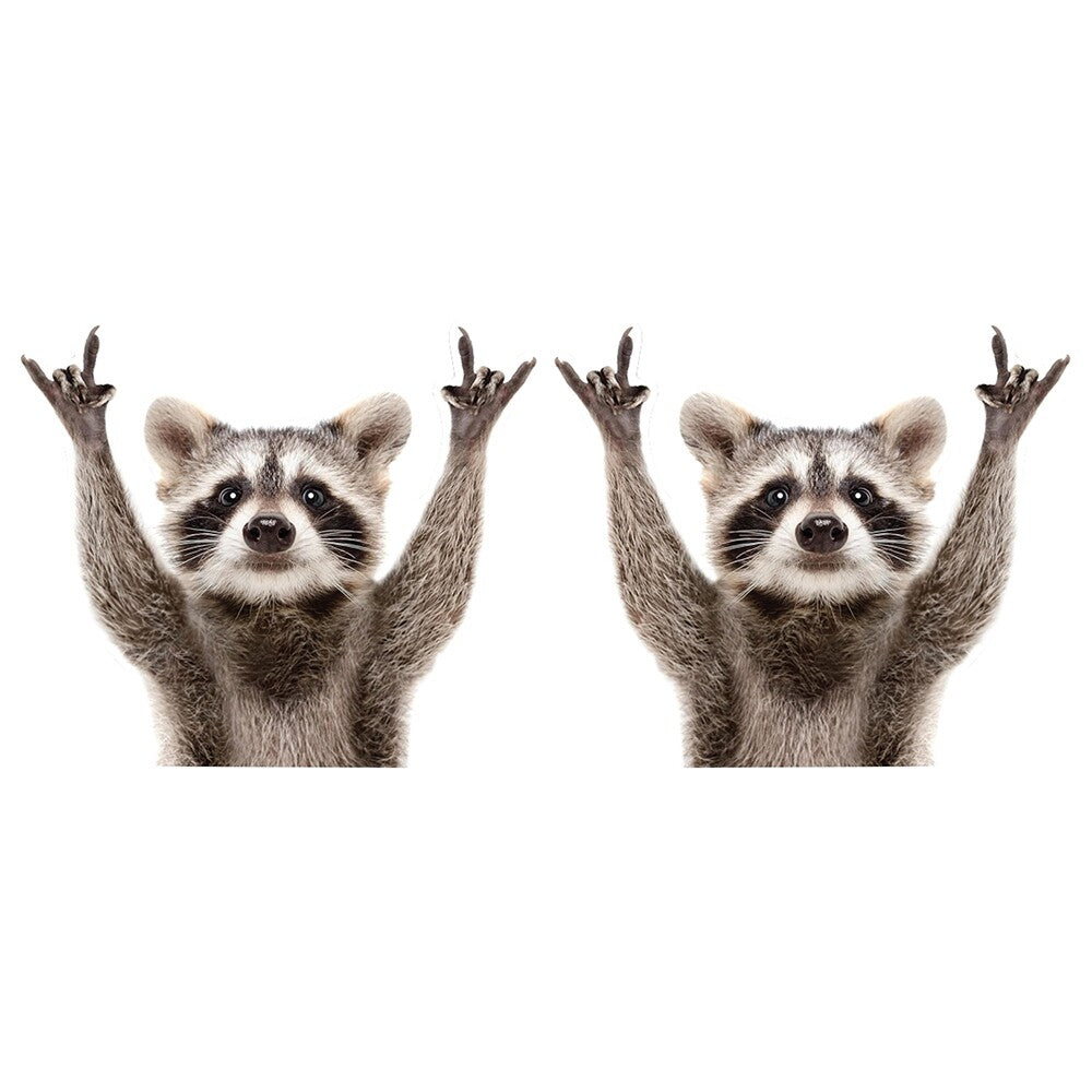 2pack Qute Raccoon Car Back Rear Window Decal Vinyl Stickers Funny Car Sticker
