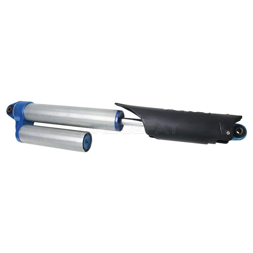 for Ford F150 XLT STX SVT 2010-2014 Rear Left / Right Shock Strut BL3Z18125L