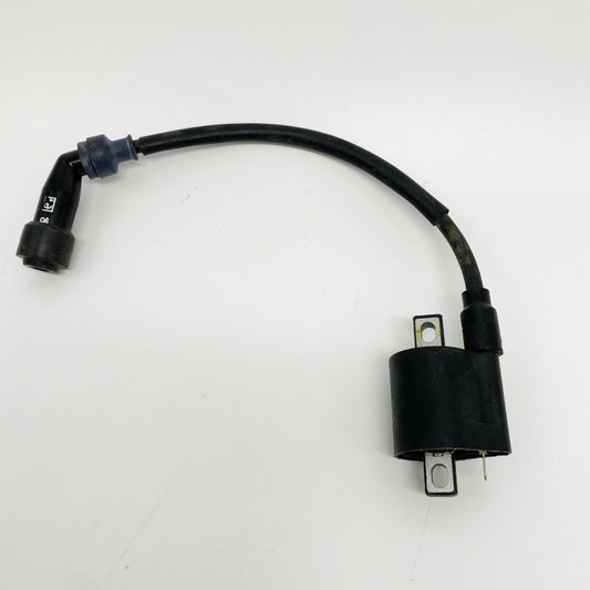 Ignition Coil JIANSHE MOUNTAIN LION ROCKET 250cc BAJA JS250 WILDERNESS TRAIL ATV