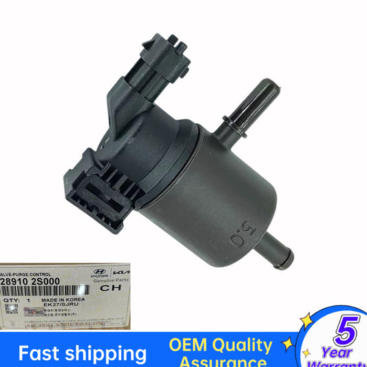 Steam tank purge valve for Hyundai Santa Fe for Genesis for Kia 2.5L 289102S000