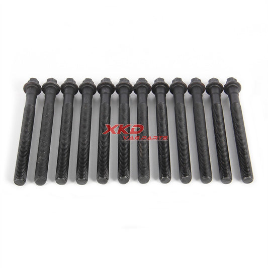 4.0L/5.0L Cylinder Head Bolt Kit for BMW M3 M5 M6