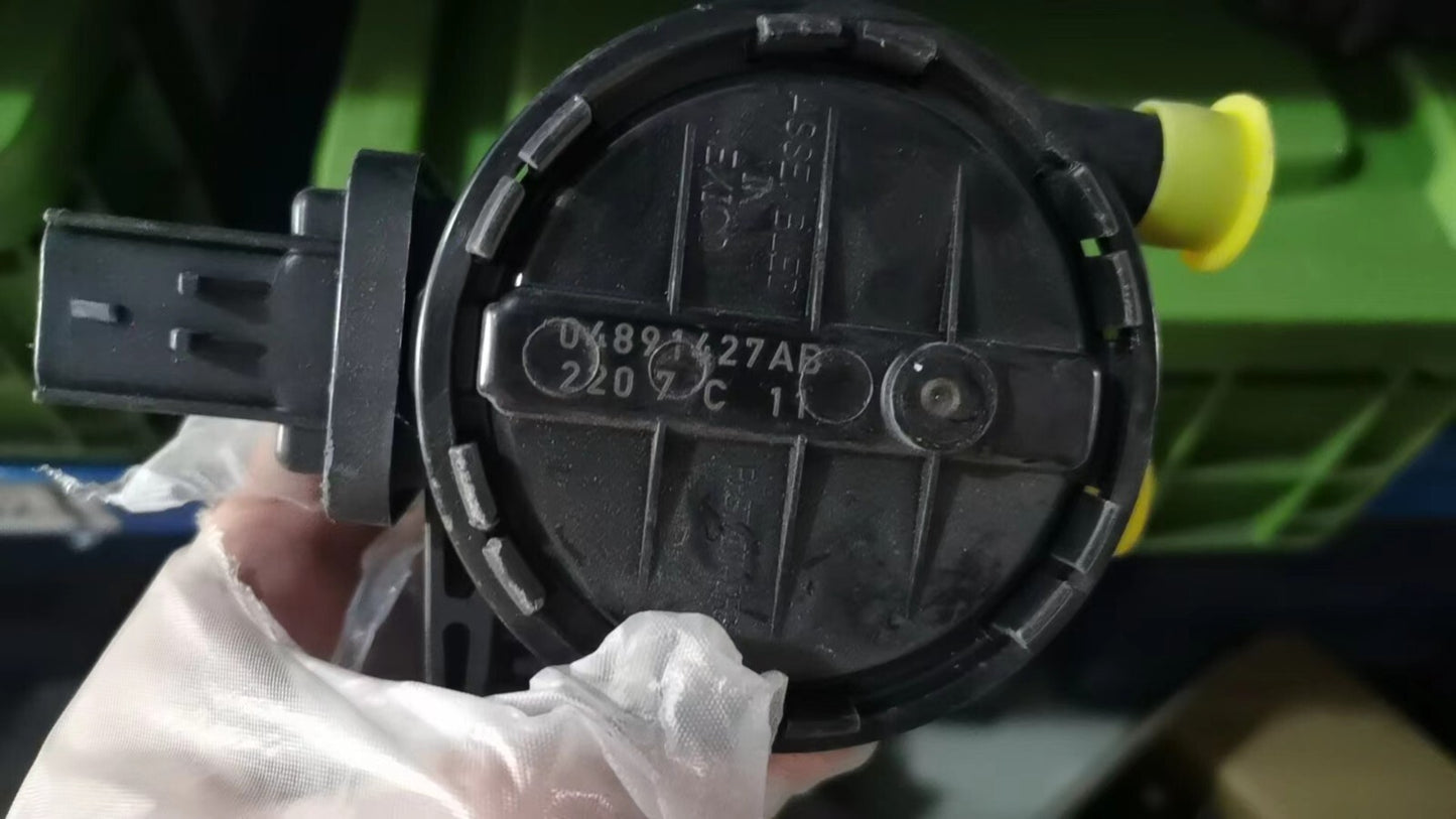 OE Natural Leak Detection Vacuum Canister Pump for Dodge for Chrysler Models 04891427AB