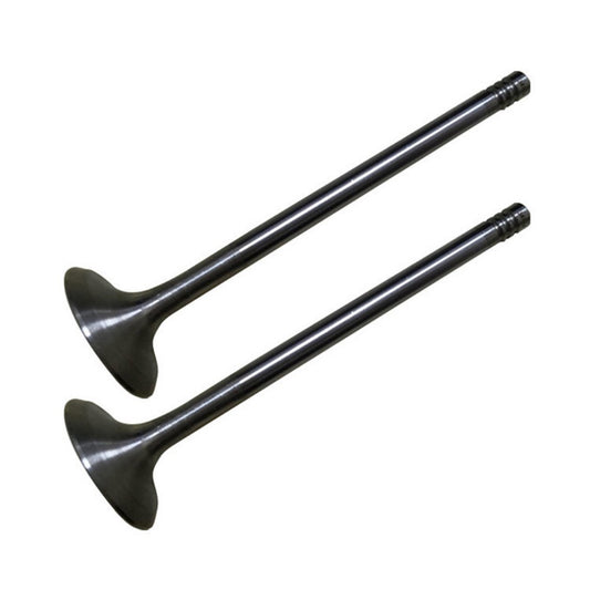 Engine Valves Set for BMW X5 X6 750i F06 F12 F13